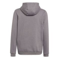 Adidas Mikina sivá 123 - 128 cm/XS Entrada 22 Hoody