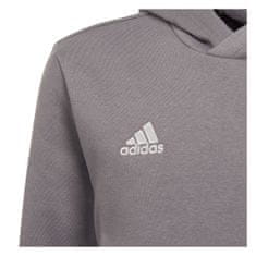 Adidas Mikina sivá 135 - 140 cm/S Entrada 22 Hoody