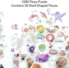 Galison Puzzle Poklady z pláže 1000 dielikov