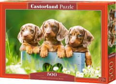 Castorland Puzzle Roztomilí jazvečíci 500 dielikov