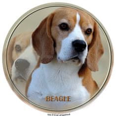 saxun nálepka Beagle Bígl