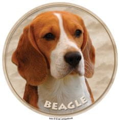 saxun nálepka Beagle Bígl