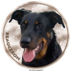 saxun nálepka Beauceron