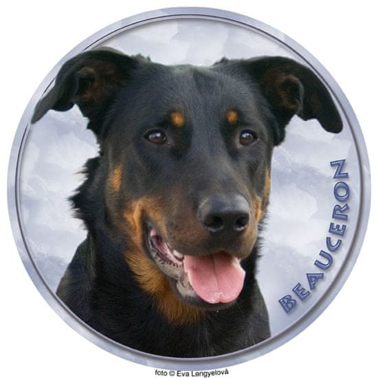 saxun nálepka Beauceron