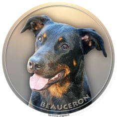 saxun nálepka Beauceron