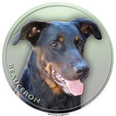 saxun nálepka Beauceron