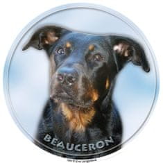 saxun nálepka Beauceron