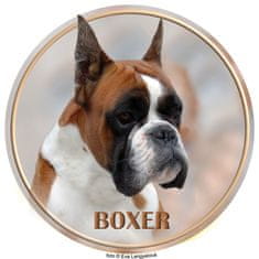 saxun nálepka Boxer