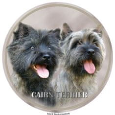 saxun nálepka Kernteriér - Cairn terrier