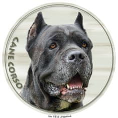 saxun nálepka Cane Corso