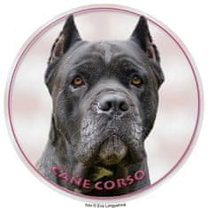 saxun nálepka Cane Corso