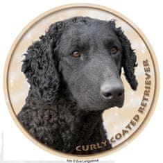 saxun nálepka Curly Coated Retriever