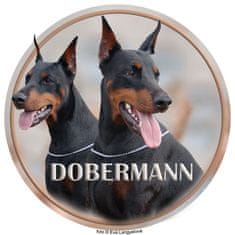 saxun nálepka Doberman