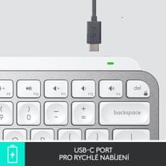 Logitech MX Keys Mini, US/INT (920-010499), šedá