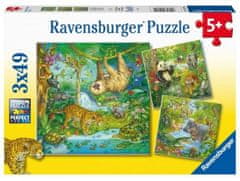 Ravensburger Puzzle Zvířata v džungli 3x49 dílků