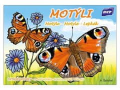 MFP Omaľovanka / Motýle