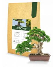 Symbiom Ectovit Bonsai 100 g