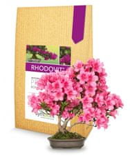 Symbiom Rhodovit Bonsai 100 g