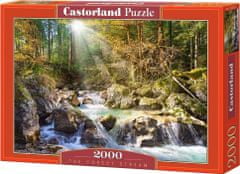 Castorland Puzzle Ríčka v lese 2000 dielikov
