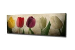 ASIR GROUP ASIR Obraz na plátne TULIPÁN 80 x 30 cm