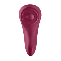 Satisfyer Sexy Secret Panty Vibrator