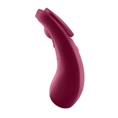 Satisfyer Sexy Secret Panty Vibrator