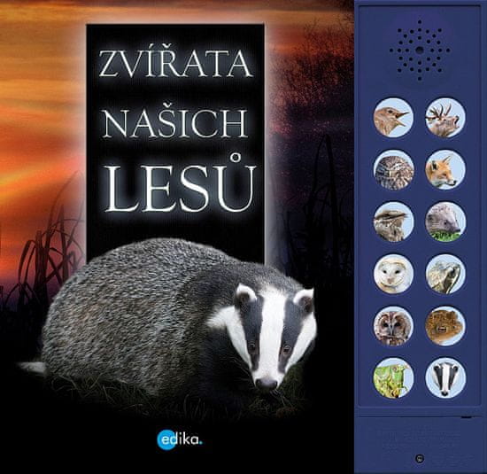 Andrea Pinnington: Zvířata našich lesů