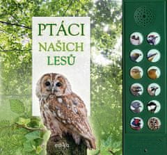 Andrea Pinnington: Ptáci našich lesů