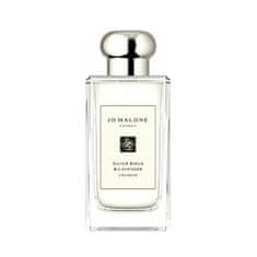 Jo Malone Silver Birch & Lavender - EDC 100 ml