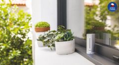 Netatmo Urban Weather Station