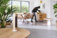 Netatmo Smart Indoor Camera, zlato/biela (NSC01-EU)