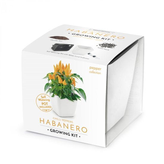 Domestico VYPESTUJ SI HABANERO, darčeková sada so samozavlažovacím kvetináčom, BIELY 13X13 CM