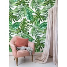 COLORAY.SK Fototapeta Monstera priamo z džungle Samolepiaca fototapeta 250 x 250 cm