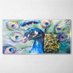 COLORAY.SK Skleneny obraz Maľovanie zvieracie vták páv 140x70 cm