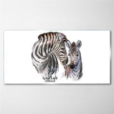 COLORAY.SK Skleneny obraz Zebra animal strips 100x50 cm