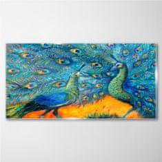 COLORAY.SK Skleneny obraz Zvieratá vtáky peacock 120x60 cm