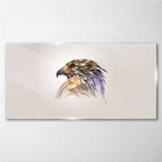 COLORAY.SK Skleneny obraz Zvieracie vták eagle 120x60 cm