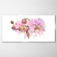 COLORAY.SK Skleneny obraz Akvarel orchidea kvetina 100x50 cm