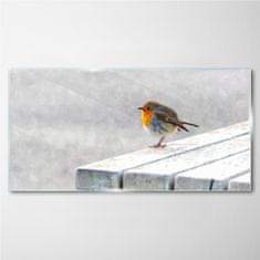 COLORAY.SK Skleneny obraz Abstraktné zvieracie vták sneh 140x70 cm