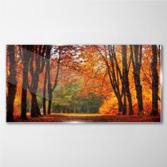 COLORAY.SK Obraz na skle Jesenné lesná voľne žijúcich živočíchov 120x60 cm