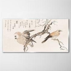 COLORAY.SK Sklenený obraz Ázie vetvy zvierat vtákov 120x60 cm