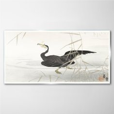 COLORAY.SK Sklenený obraz Ázia lake zvierací vták 100x50 cm