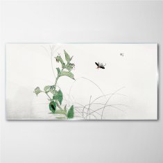 COLORAY.SK Skleneny obraz Ázijské hmyz listy 100x50 cm