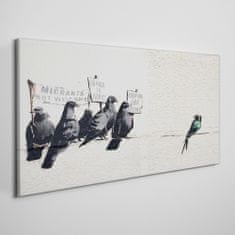 COLORAY.SK Obraz Canvas Protestujúci Birds Banksy 120x60 cm