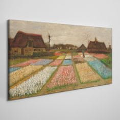 COLORAY.SK Obraz canvas Žiarovkové pole van Gogh 100x50 cm
