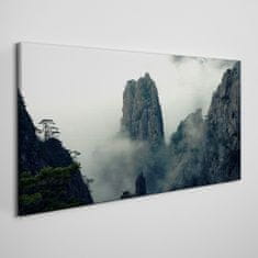 COLORAY.SK Obraz canvas Mountain fog hmlou strom mraky 120x60 cm