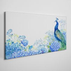 COLORAY.SK Obraz canvas Kvety vták Peacock 100x50 cm