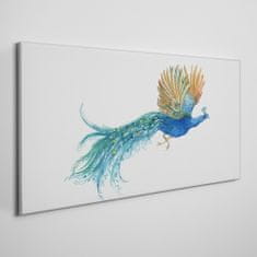 COLORAY.SK Obraz canvas zvieracie vták páv 120x60 cm