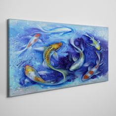 COLORAY.SK Obraz canvas Zvieracie ryby Koi voda 100x50 cm