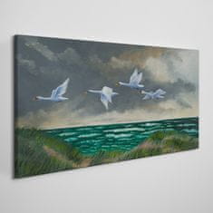 COLORAY.SK Obraz canvas Vtáky morskej oblohy labute 120x60 cm